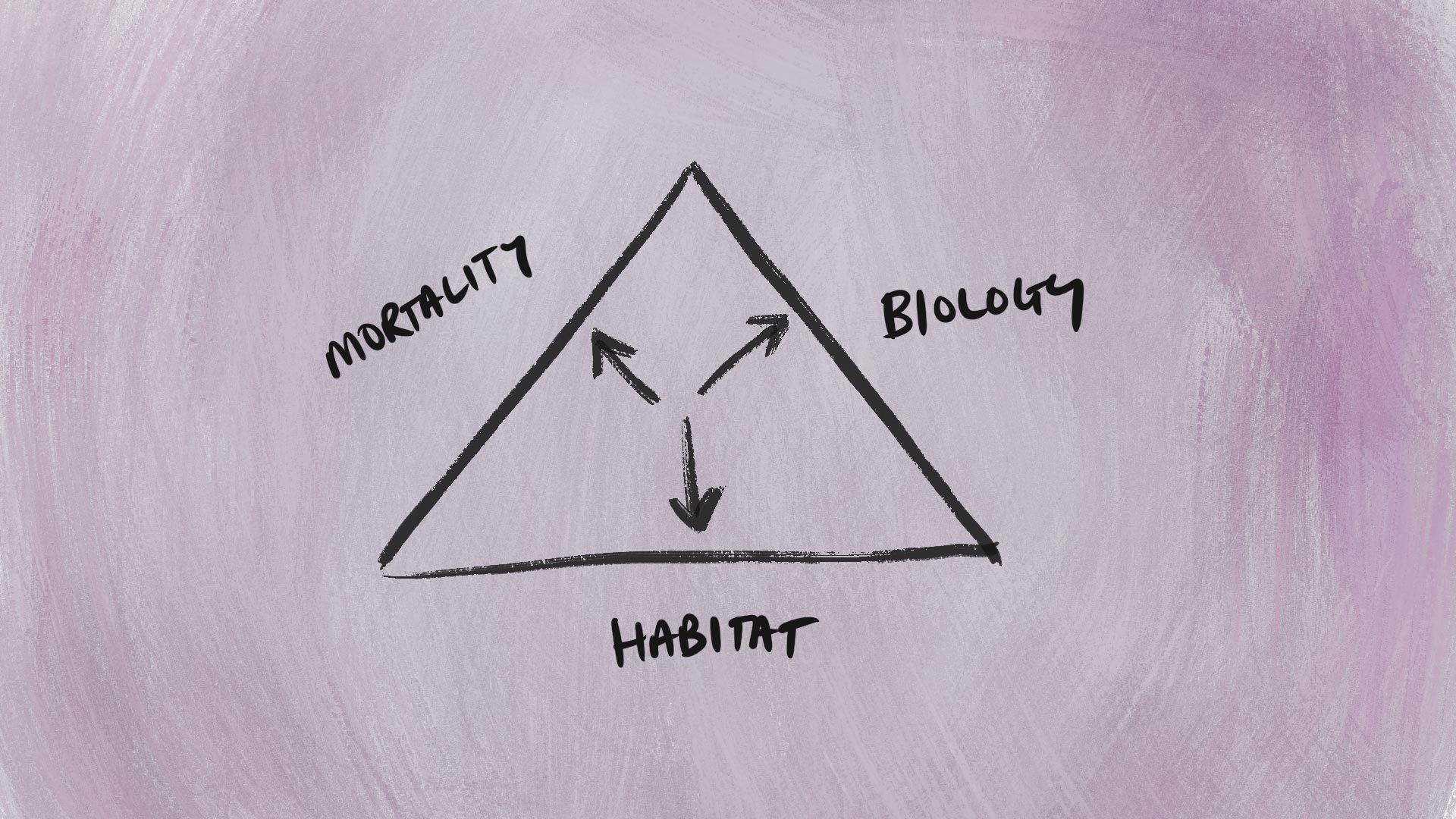 A triangle with each side labelled Habitat, Mortality, Biology with arrows pushing outwards